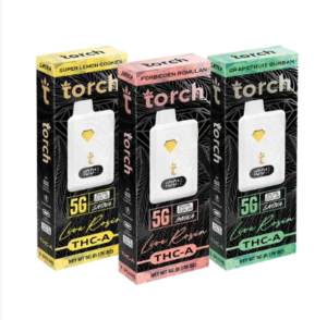 Top Picks from Torch